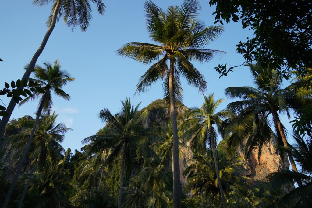 Thailand: Überlaufen oder ein Traumziel?