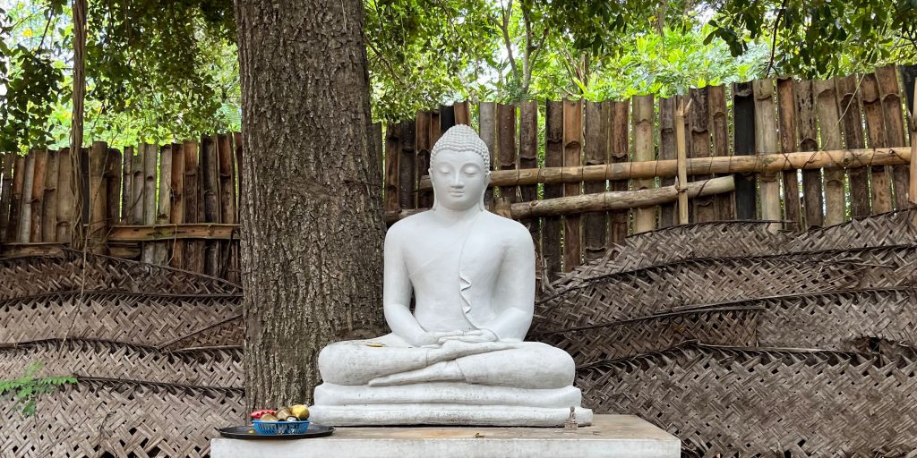 Kultur in Sri Lanka: Buddhismus hautnah erleben 