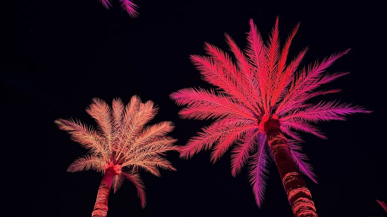 Naturaleza Encendida: Licht, Magie & Geschichte in Sevilla